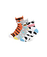 search-product7